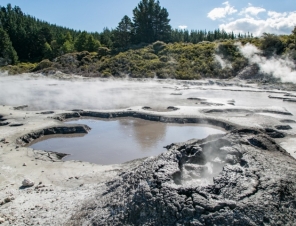 Hell gate mud pool